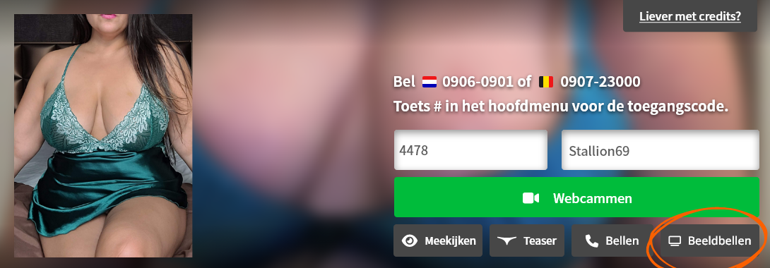 stepfourhelp